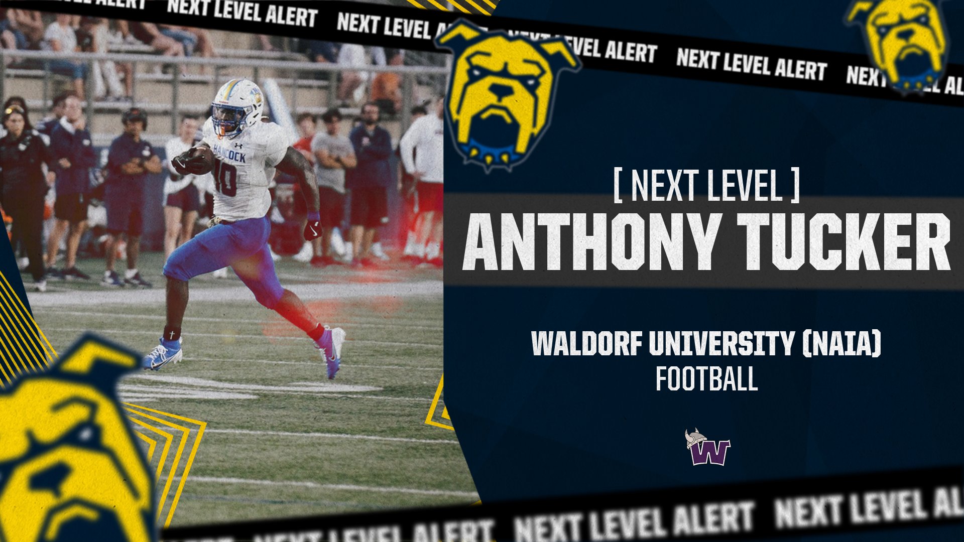 NEXT LEVEL: Anthony Tucker Commits to Waldorf University