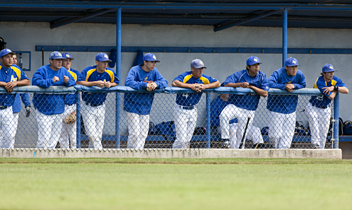 Baseball Team to Compete in Playoffs for Third Year in a Row